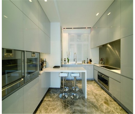 kitchen designer/kitchen designs lacquer